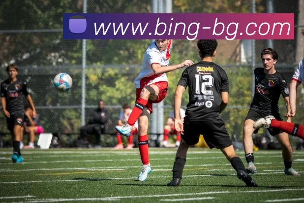 BG真人发展历程